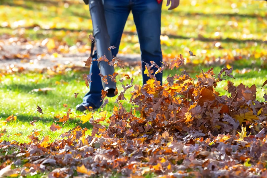 Working in the Park removes leaves with a blower. Park cleaning service. Removing fallen leaves in autumn.